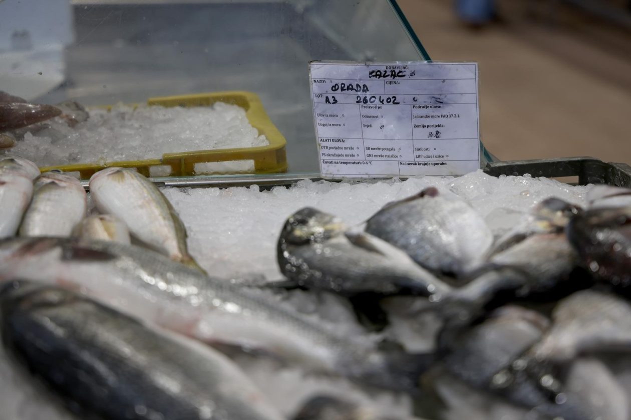 Zadar: Ponuda na zadarskoj ribarnici