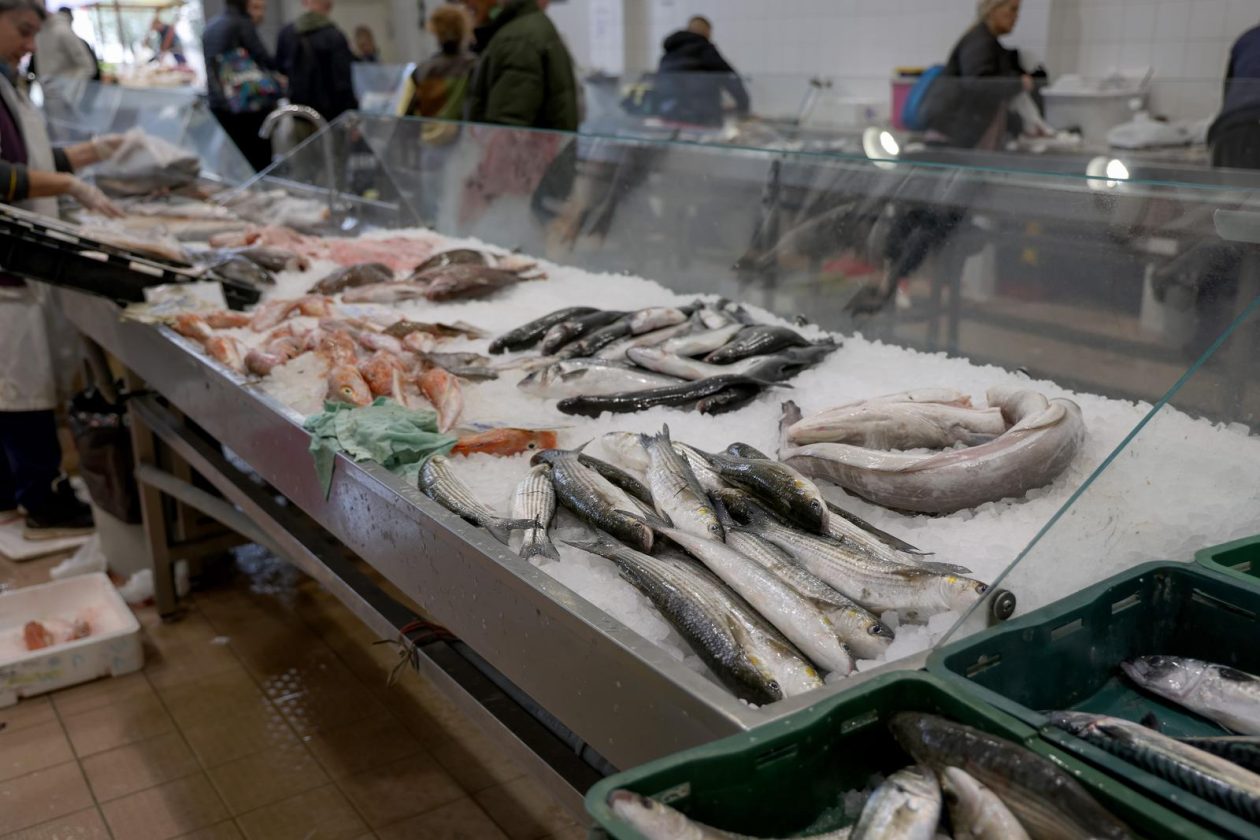 Zadar: Ponuda na zadarskoj ribarnici