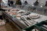 Zadar: Ponuda na zadarskoj ribarnici