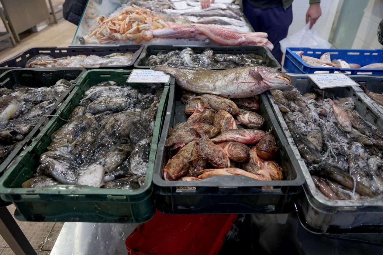 Zadar: Ponuda na zadarskoj ribarnici