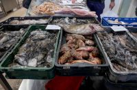 Zadar: Ponuda na zadarskoj ribarnici