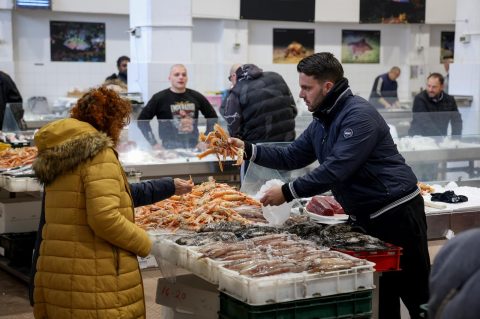 Zadar: Ponuda na zadarskoj ribarnici