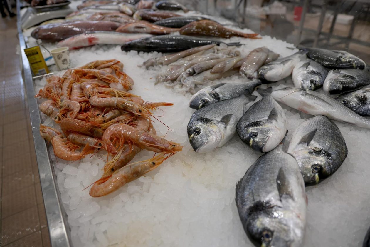 Zadar: Ponuda na zadarskoj ribarnici