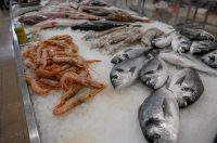 Zadar: Ponuda na zadarskoj ribarnici