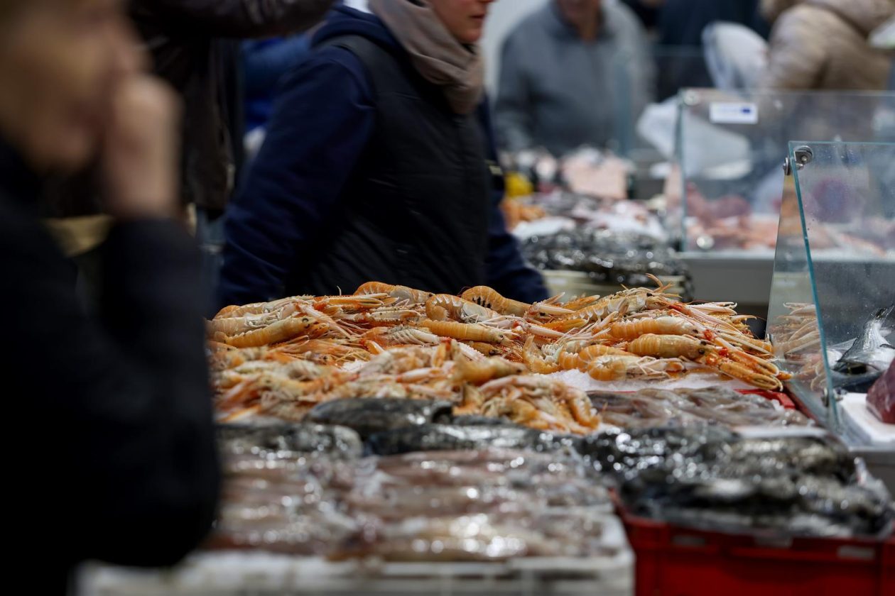 Zadar: Ponuda na zadarskoj ribarnici