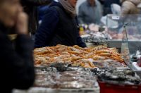 Zadar: Ponuda na zadarskoj ribarnici