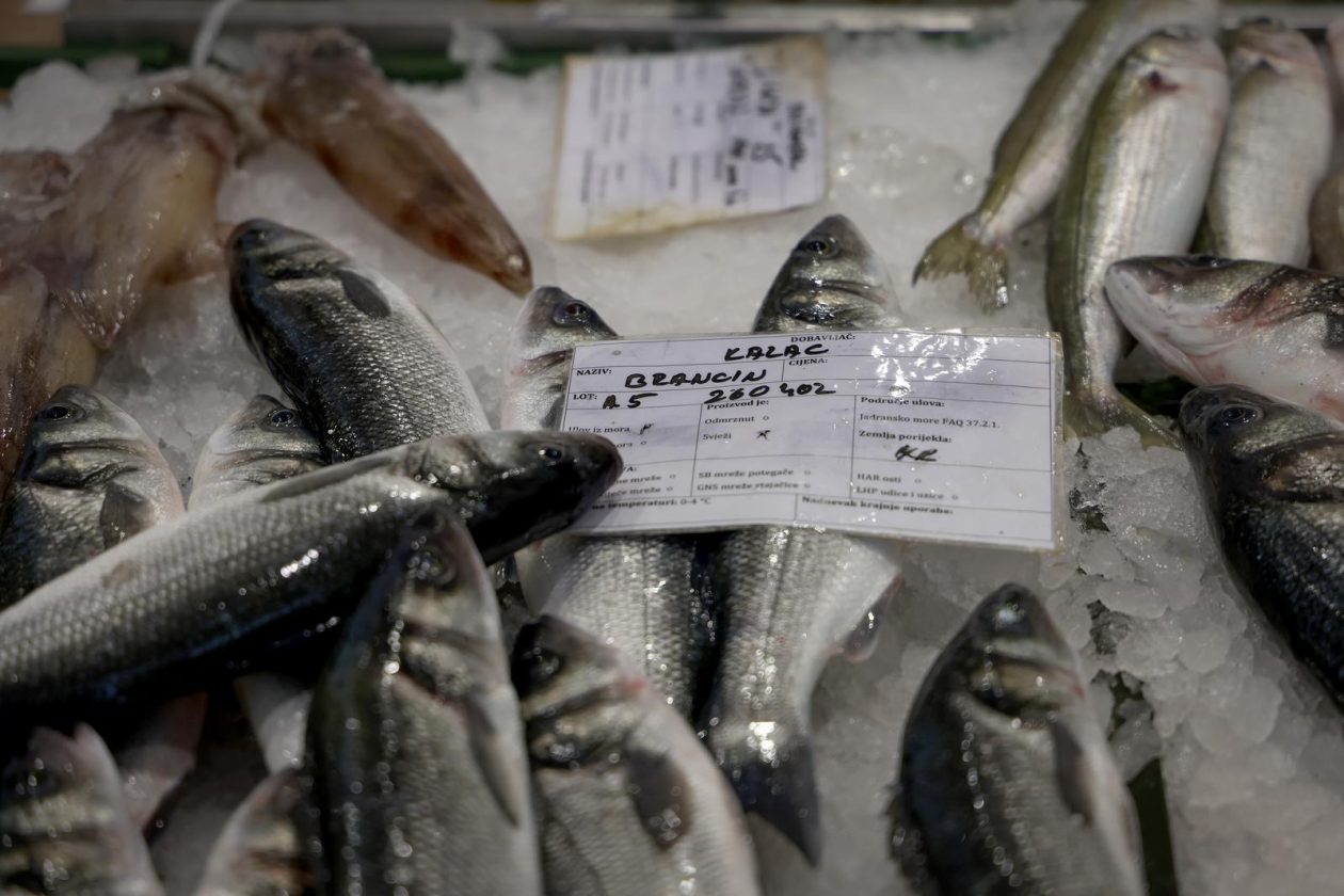 Zadar: Ponuda na zadarskoj ribarnici