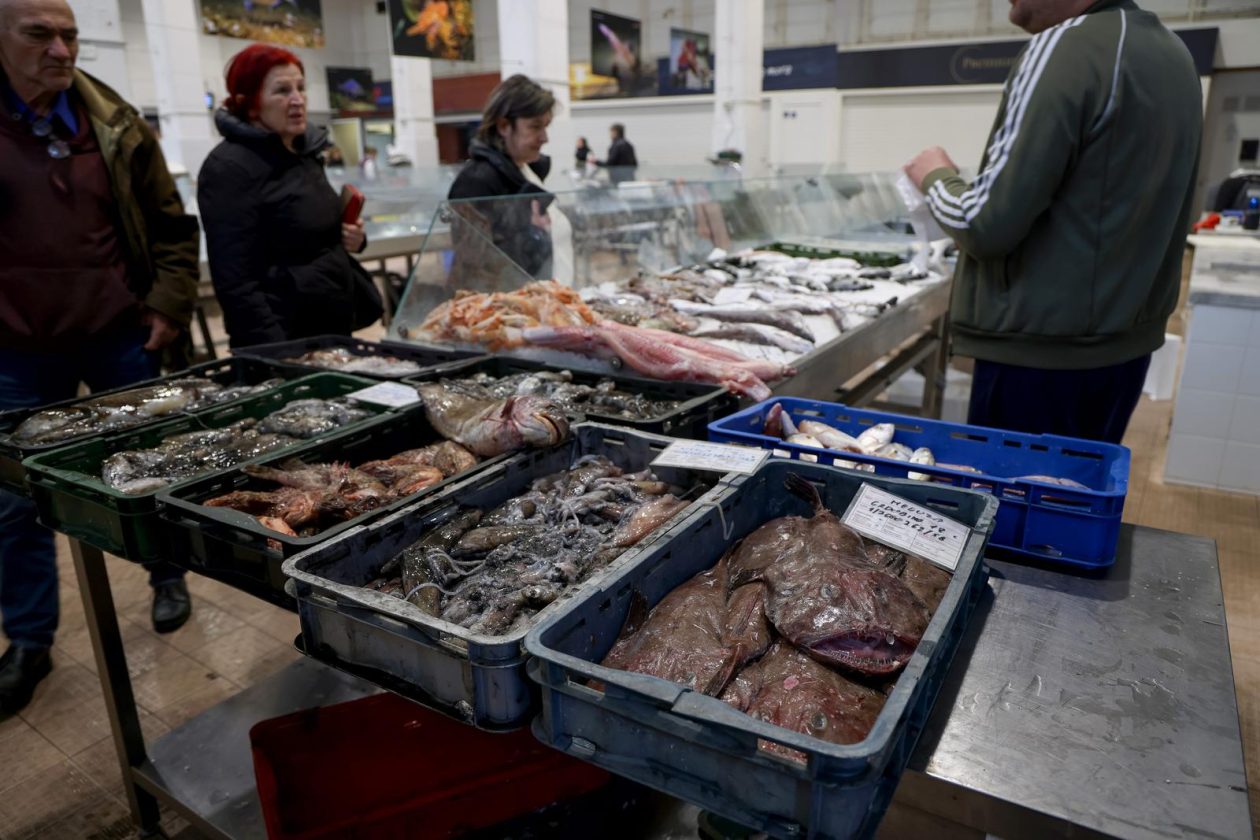 Zadar: Ponuda na zadarskoj ribarnici