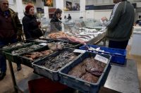 Zadar: Ponuda na zadarskoj ribarnici