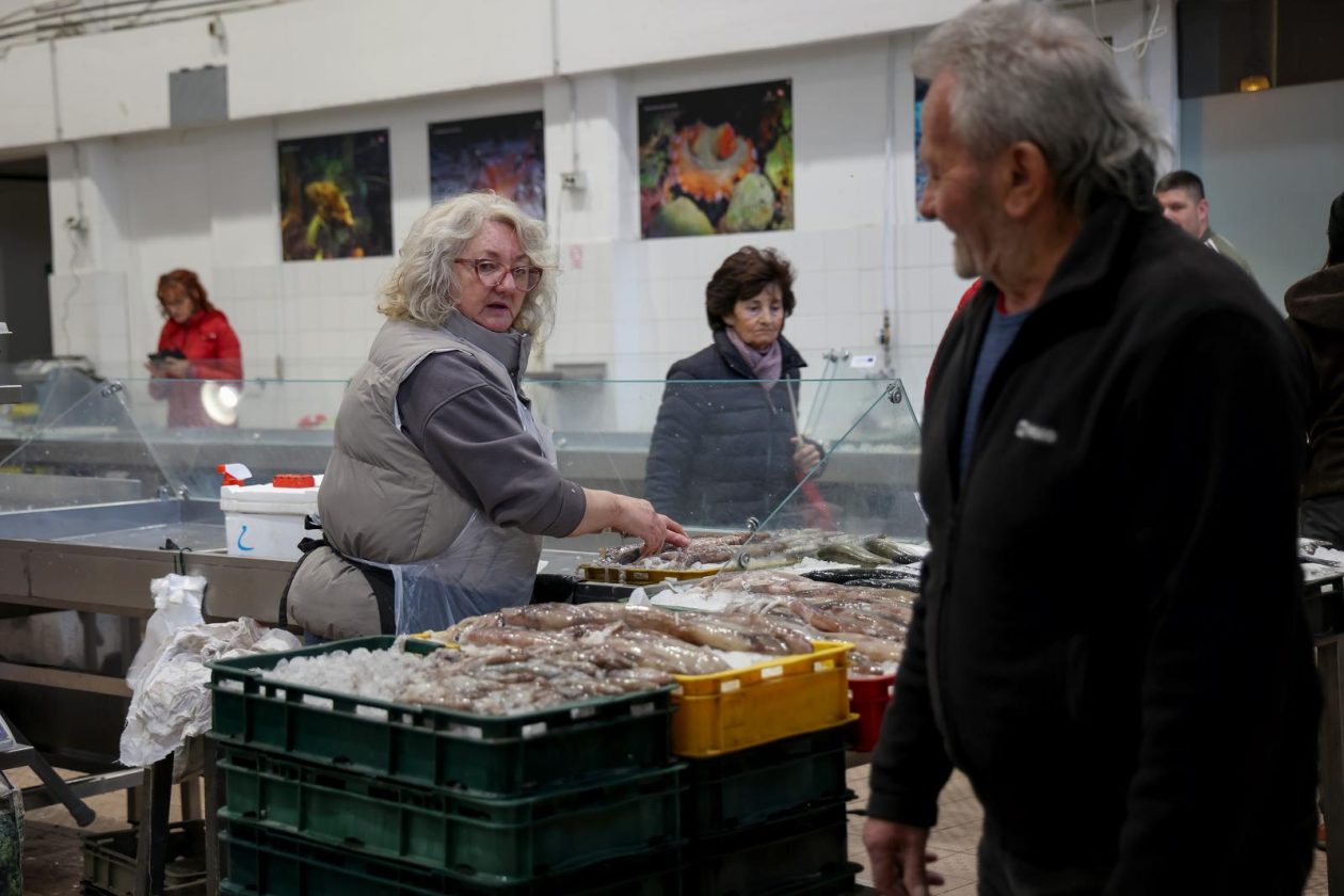 Zadar: Ponuda na zadarskoj ribarnici