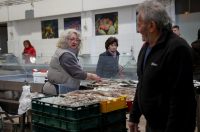 Zadar: Ponuda na zadarskoj ribarnici