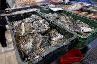 Zadar: Ponuda na zadarskoj ribarnici