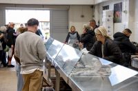 Zadar: Ponuda na zadarskoj ribarnici