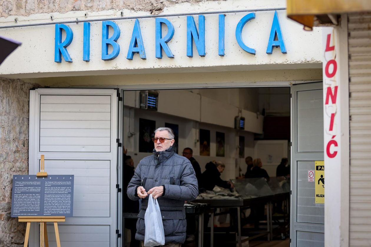 Zadar: Ponuda na zadarskoj ribarnici