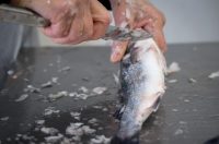 Zadar: Ponuda na zadarskoj ribarnici