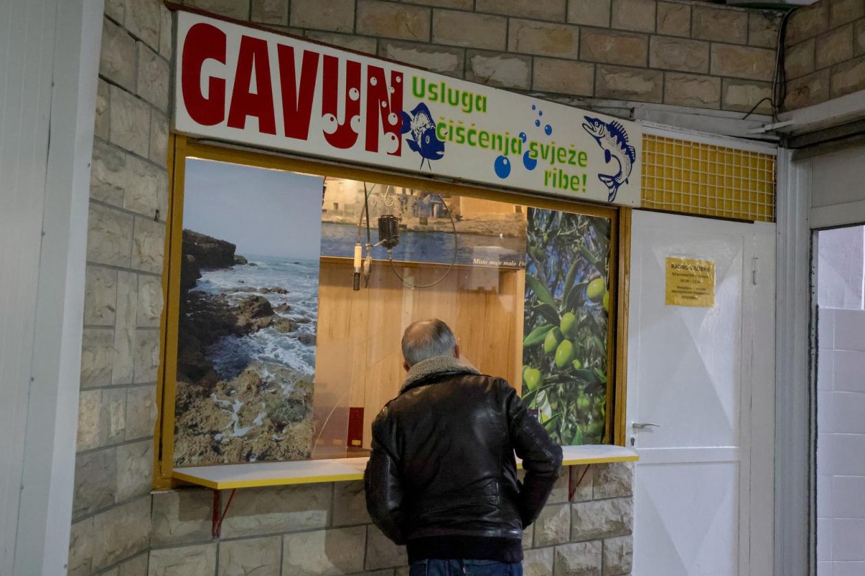 Zadar: Ponuda na zadarskoj ribarnici