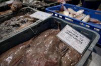 Zadar: Ponuda na zadarskoj ribarnici