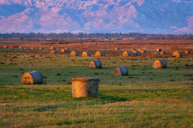Ninski Stanovi: Zalazak sunca Ninski Stanovi: Zalazak sunca