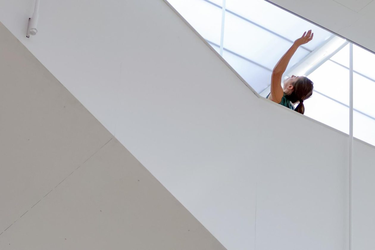 Vertikalne plesne instalacije u prostorima II Palače Vertikalne plesne instalacije u prostorima II Palače