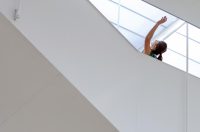 Vertikalne plesne instalacije u prostorima II Palače Vertikalne plesne instalacije u prostorima II Palače