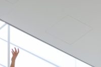 Vertikalne plesne instalacije u prostorima II Palače Vertikalne plesne instalacije u prostorima II Palače