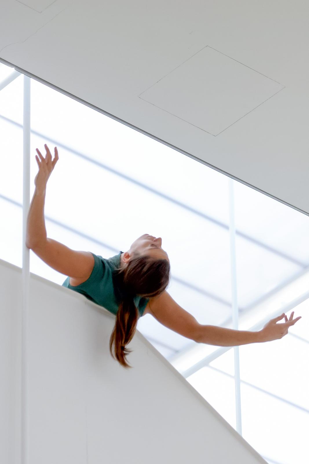 Vertikalne plesne instalacije u prostorima II Palače Vertikalne plesne instalacije u prostorima II Palače