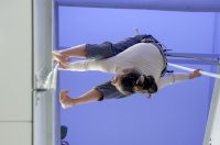 Vertikalne plesne instalacije u prostorima II Palače Vertikalne plesne instalacije u prostorima II Palače