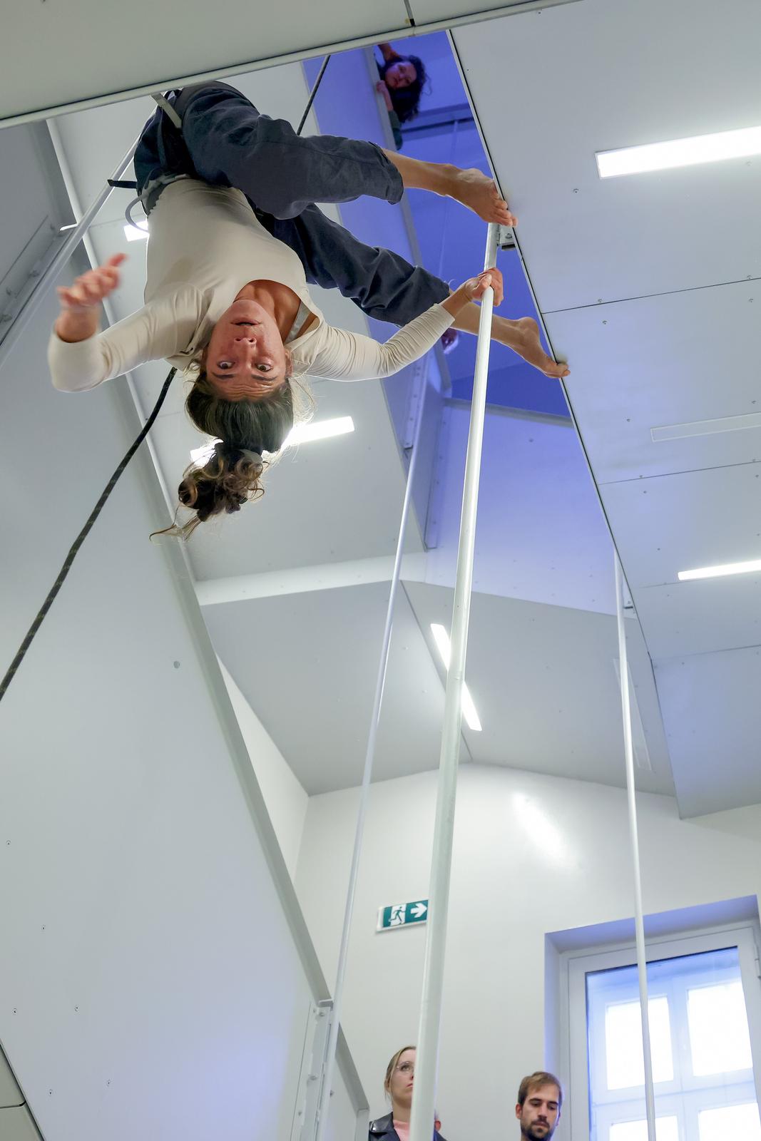 Vertikalne plesne instalacije u prostorima II Palače Vertikalne plesne instalacije u prostorima II Palače