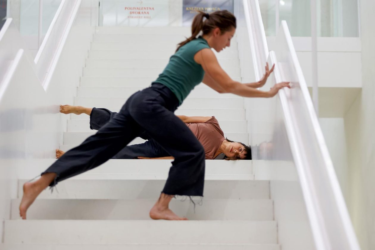 Vertikalne plesne instalacije u prostorima II Palače Vertikalne plesne instalacije u prostorima II Palače