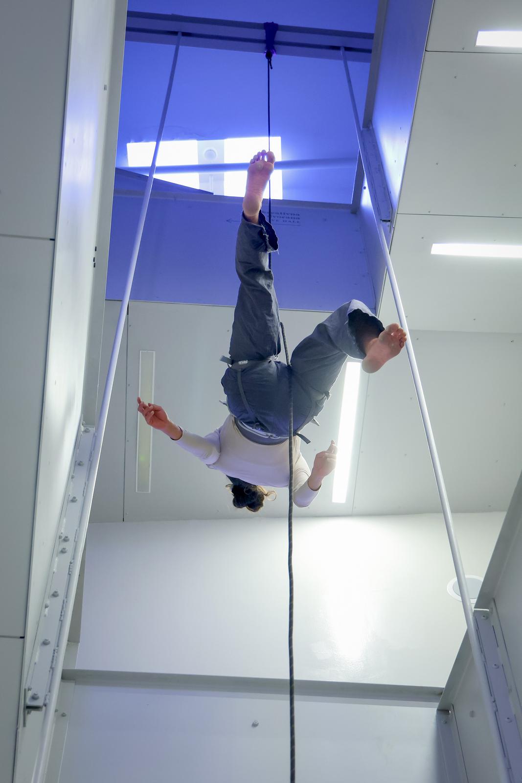 Vertikalne plesne instalacije u prostorima II Palače Vertikalne plesne instalacije u prostorima II Palače