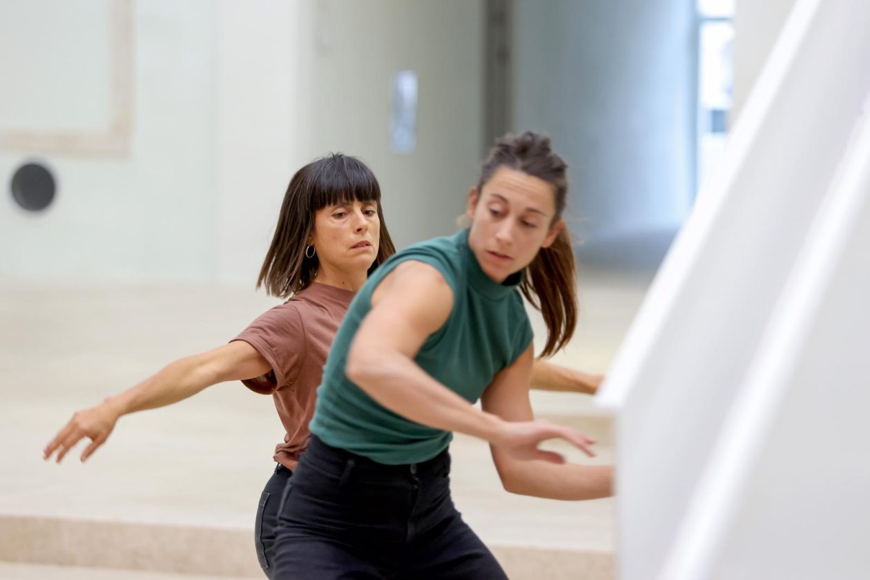 Vertikalne plesne instalacije u prostorima II Palače Vertikalne plesne instalacije u prostorima II Palače