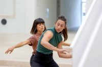 Vertikalne plesne instalacije u prostorima II Palače Vertikalne plesne instalacije u prostorima II Palače