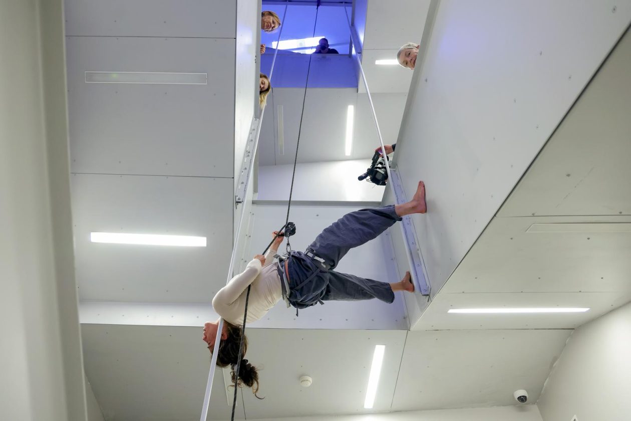 Vertikalne plesne instalacije u prostorima II Palače Vertikalne plesne instalacije u prostorima II Palače