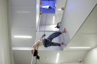 Vertikalne plesne instalacije u prostorima II Palače Vertikalne plesne instalacije u prostorima II Palače