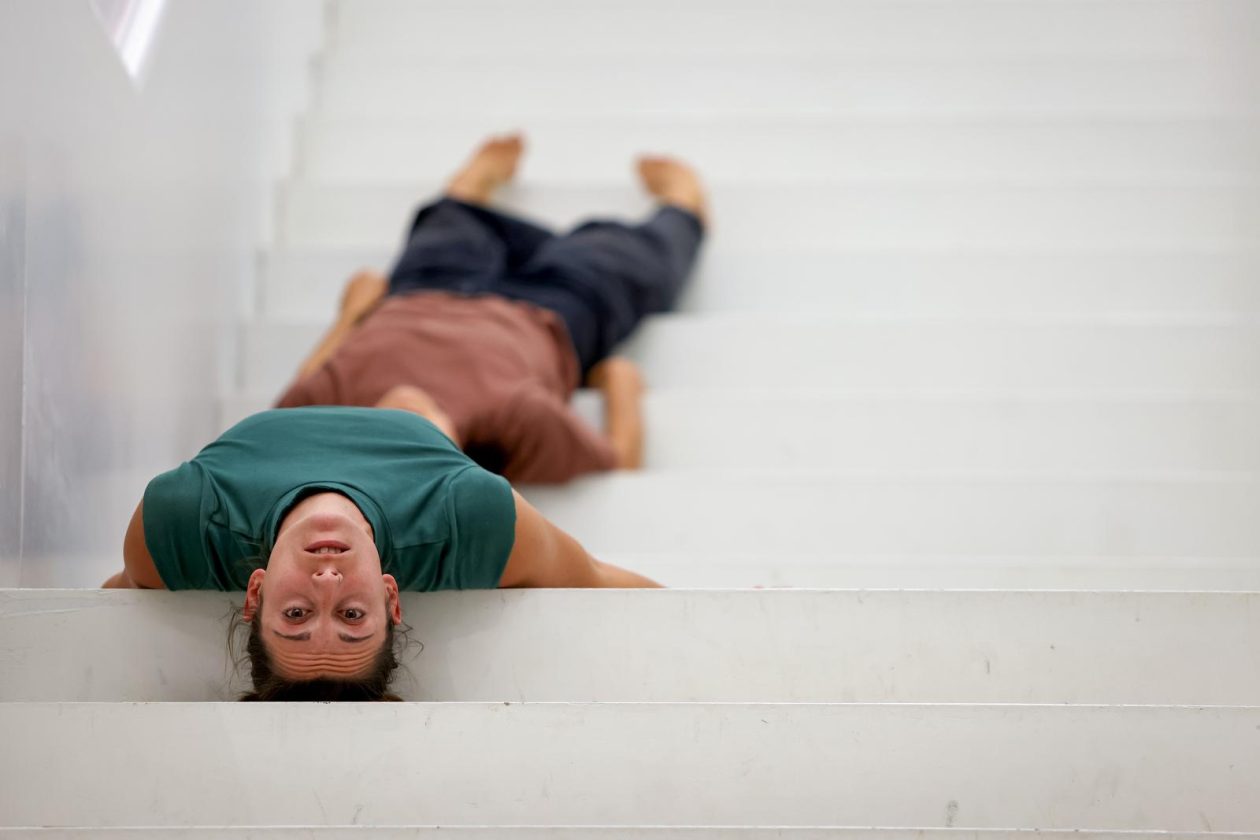 Vertikalne plesne instalacije u prostorima II Palače Vertikalne plesne instalacije u prostorima II Palače