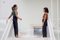 Vertikalne plesne instalacije u prostorima II Palače Vertikalne plesne instalacije u prostorima II Palače