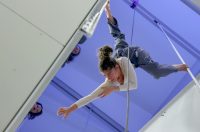 Vertikalne plesne instalacije u prostorima II Palače Vertikalne plesne instalacije u prostorima II Palače