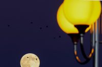 Izlazak punog mjeseca nad Zadrom