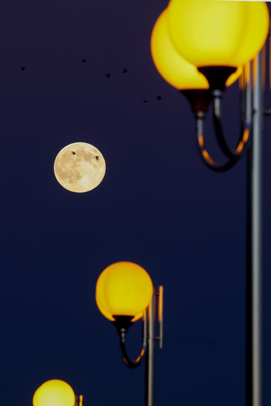 Izlazak punog mjeseca nad Zadrom