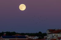 Izlazak punog mjeseca nad Zadrom