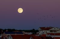 Izlazak punog mjeseca nad Zadrom