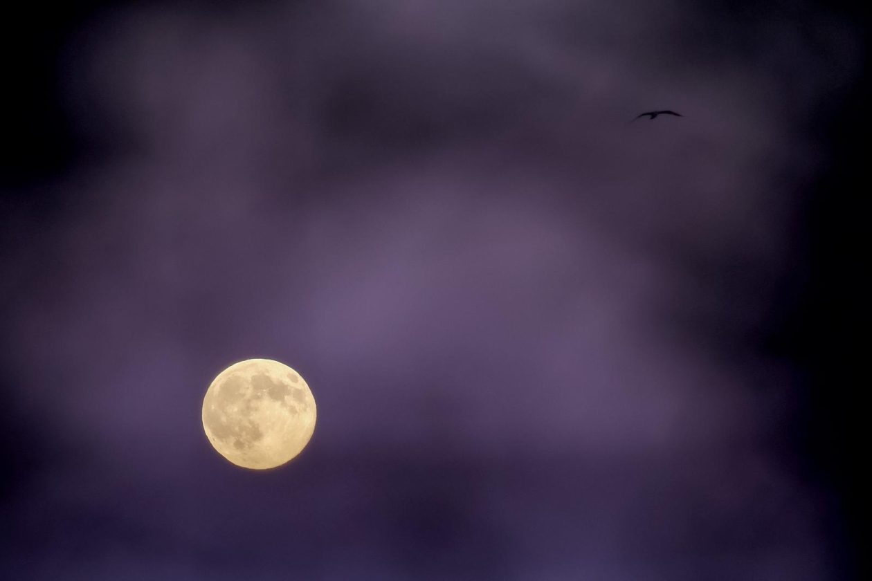 Izlazak punog mjeseca nad Zadrom