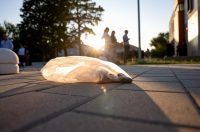 Benkovac: Organizatori benkovačkog festivala “Nosi se” koji je odgođen nakon prosvjeda branitelja održali mirni prosvjed Benkovac: Organizatori benkovačkog festivala “Nosi se” koji je odgođen nakon prosvjeda branitelja održali mirni prosvjed