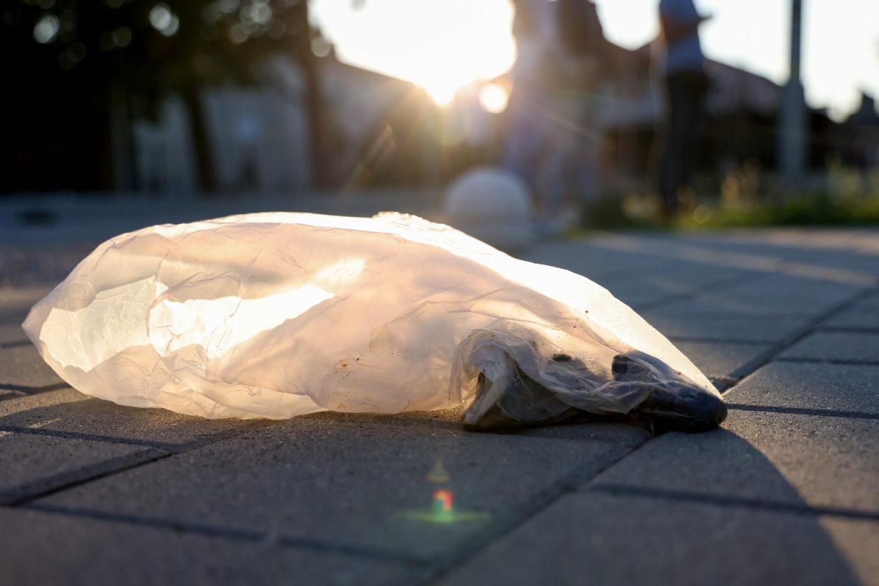 Benkovac: Organizatori benkovačkog festivala “Nosi se” koji je odgođen nakon prosvjeda branitelja održali mirni prosvjed Benkovac: Organizatori benkovačkog festivala “Nosi se” koji je odgođen nakon prosvjeda branitelja održali mirni prosvjed