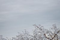 Muškovci: Zaleđena stabla i stolovi