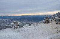 Muškovci: Zaleđena stabla i stolovi