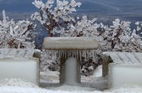 Muškovci: Zaleđena stabla i stolovi