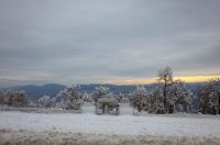 Muškovci: Zaleđena stabla i stolovi