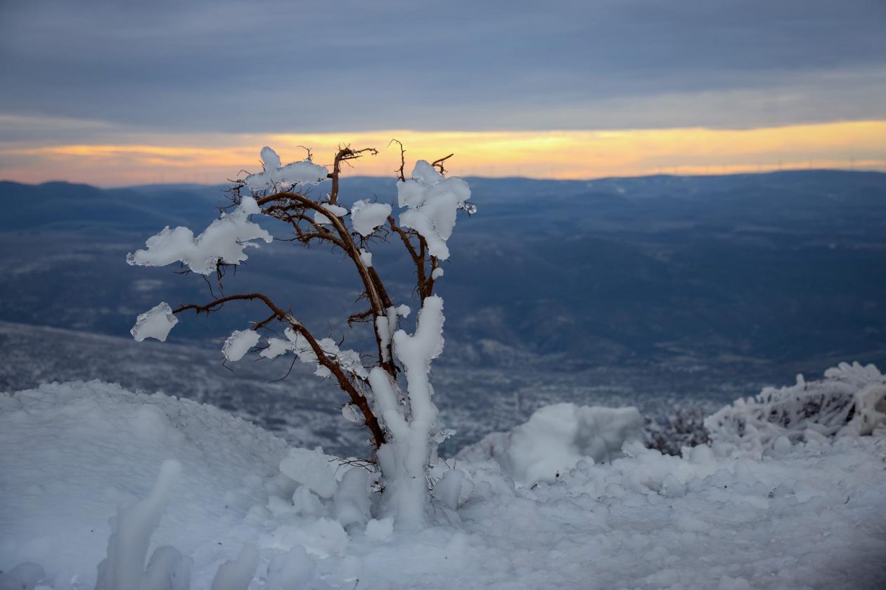 Muškovci: Zaleđena stabla i stolovi