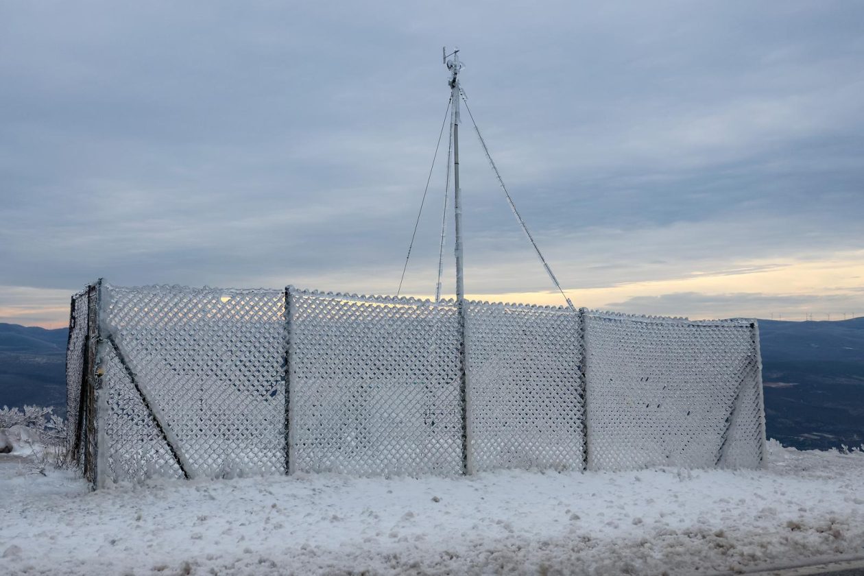 Muškovci: Zaleđena stabla i stolovi